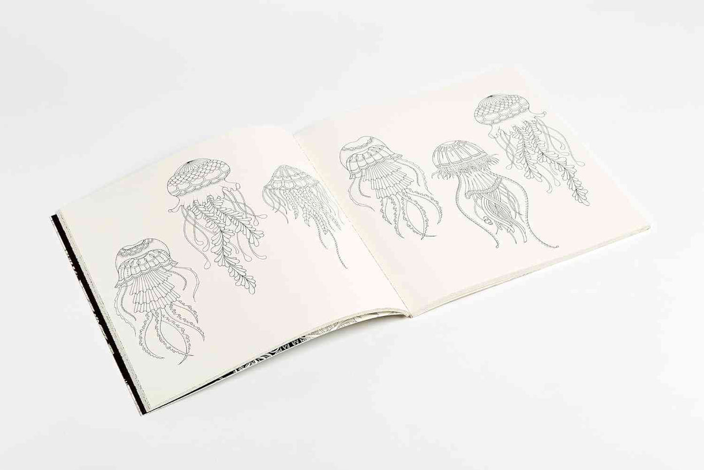 An open sketchbook with minimalist black line art illustrations of jellyfish on pale pink pages, photographed on a clean white background.