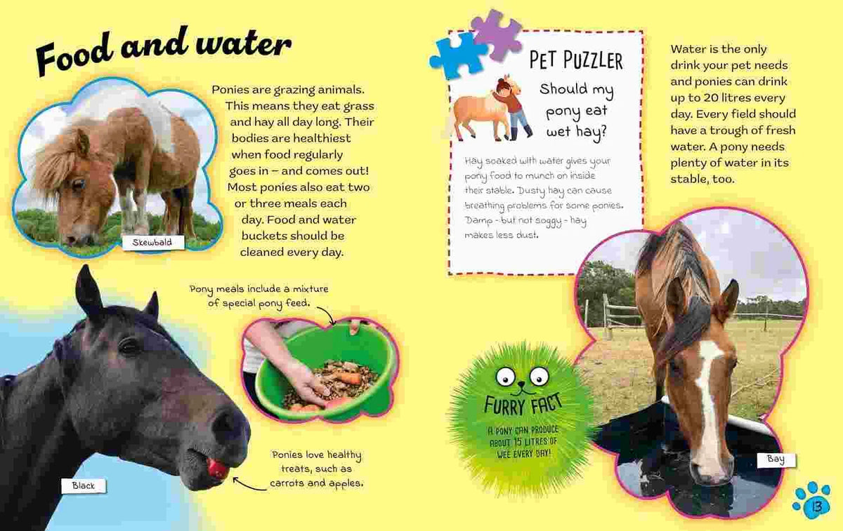 Ponies (Cute Pets! And How to Care For Them)