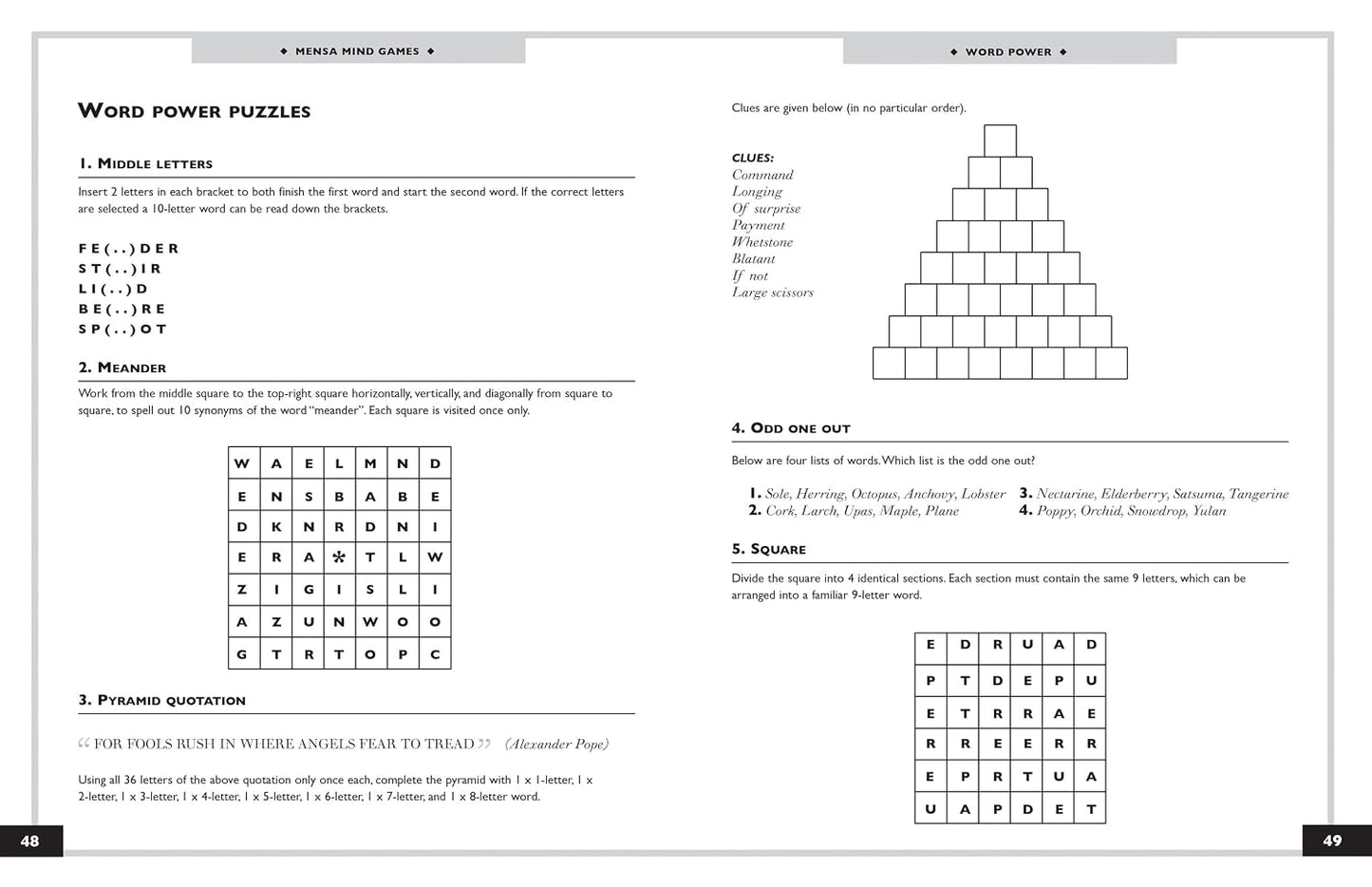 A printed puzzle worksheet titled 'WORD POWER WORD PUZZLES' with multiple text-based riddles, a word ladder chart, a pyramid clue, and a crossword grid on a white page.