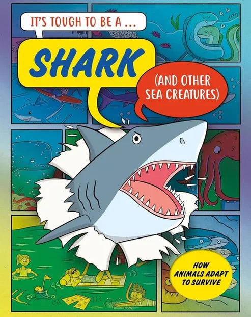 A Shark and Other Sea Creatures
