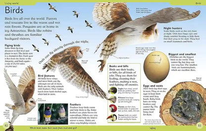 First Encyclopedia A reference guide for children