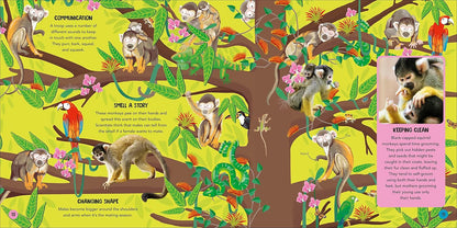 Animal Teams - How Amazing Animals Work Together in the Wild