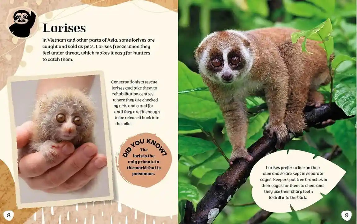 Baby Animal Rescue - Get Up Close with Photos