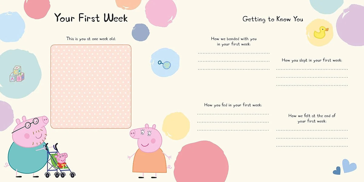 Baby Record Book