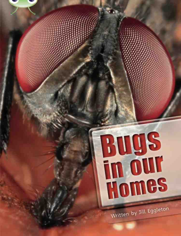 Bugs in our Homes