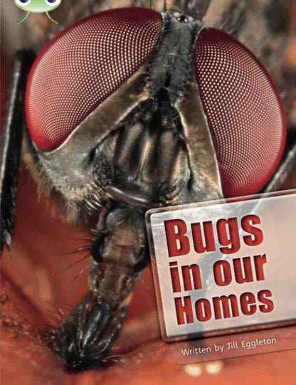Bugs in our Homes