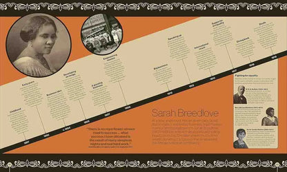DK - Timelines from Black History