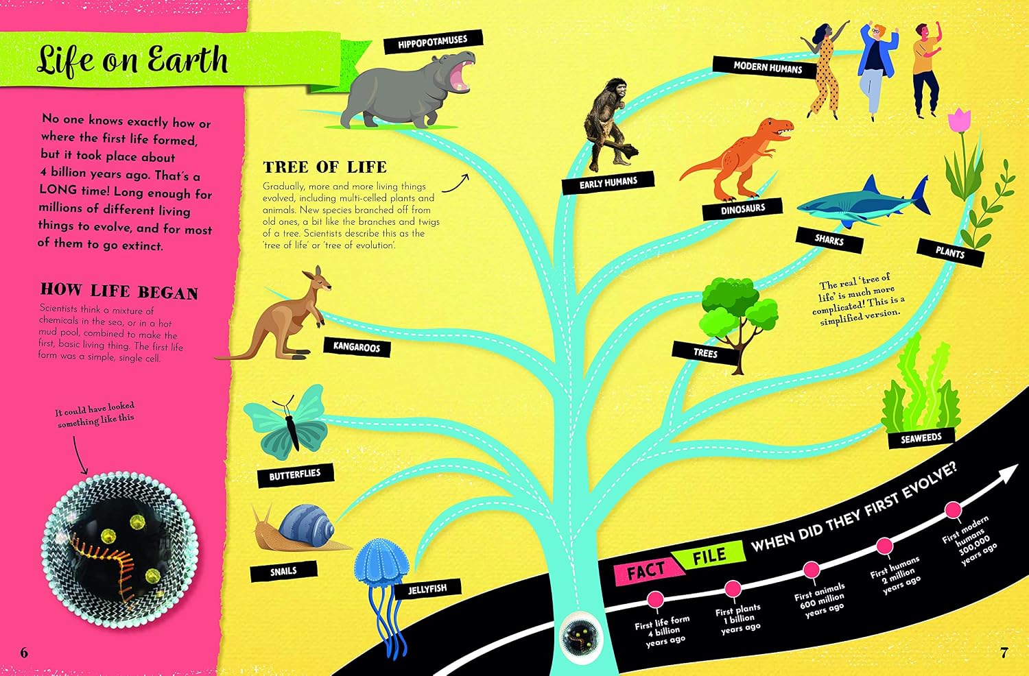 An educational poster titled 'Life on Earth' featuring a colorful evolutionary tree diagram with labeled illustrations of early life forms such as protists, single-celled organisms, plants, fish, reptiles, mammals, and humans, alongside text panels on a bright yellow background.