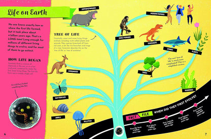 An educational poster titled 'Life on Earth' featuring a colorful evolutionary tree diagram with labeled illustrations of early life forms such as protists, single-celled organisms, plants, fish, reptiles, mammals, and humans, alongside text panels on a bright yellow background.