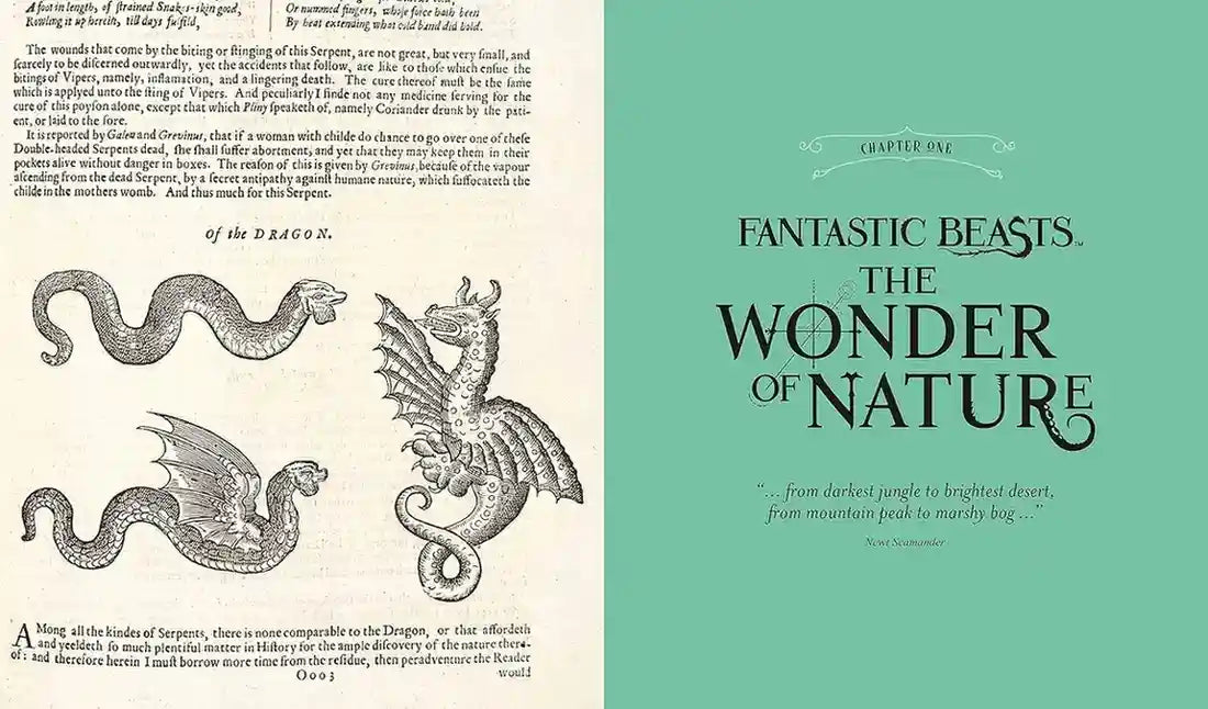 Fantastics Beasts - The Wonder of Nature