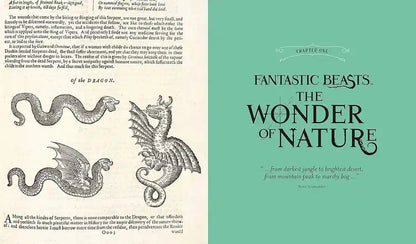 Fantastics Beasts - The Wonder of Nature