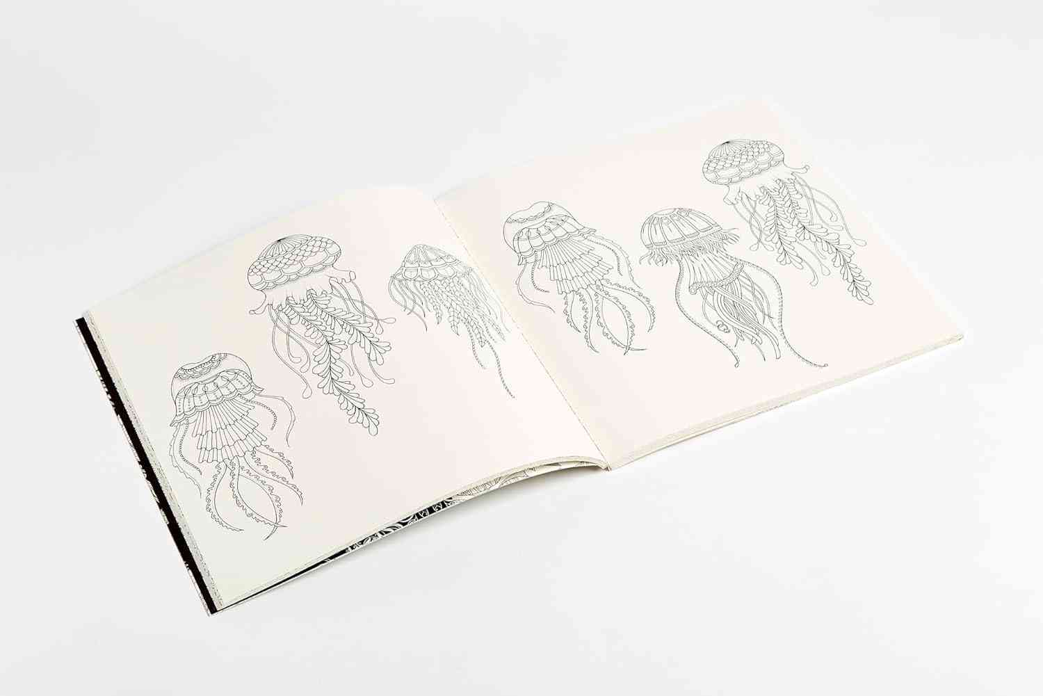 An open sketchbook with minimalist black line art illustrations of jellyfish on pale pink pages, photographed on a clean white background.