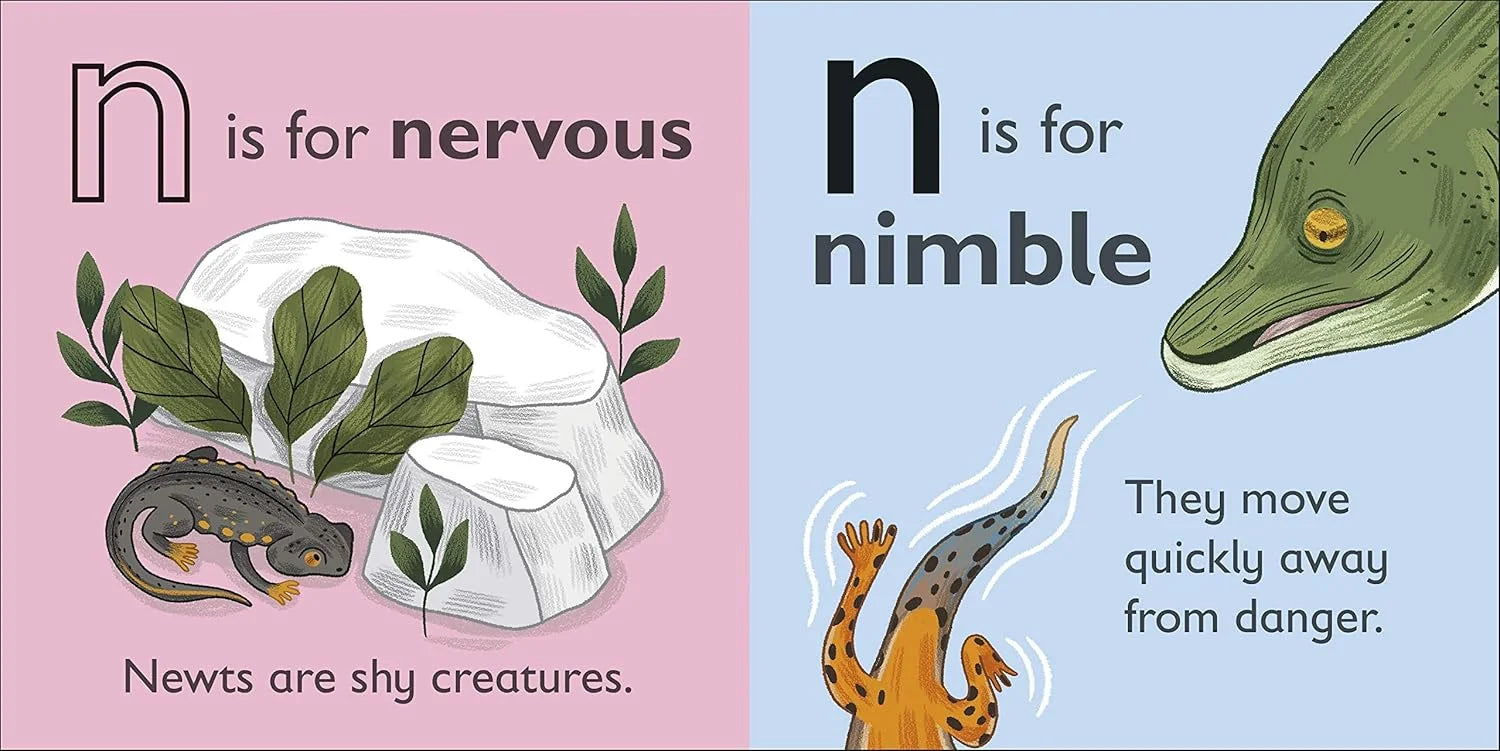 Illustrations of newts and a lizard with text about their characteristics on a pink and blue background.