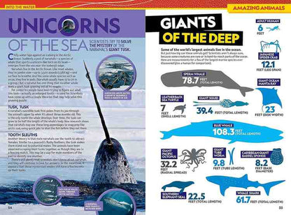 A two-page educational magazine spread featuring articles and illustrations about sea creatures, including a unicorn horn shark, giant squid, and deep-sea animals, with infographic-style diagrams and colorful headers.
