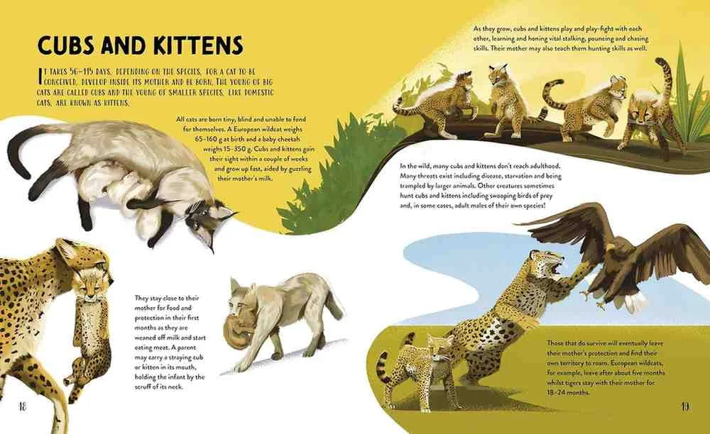 The Furry History of Cat