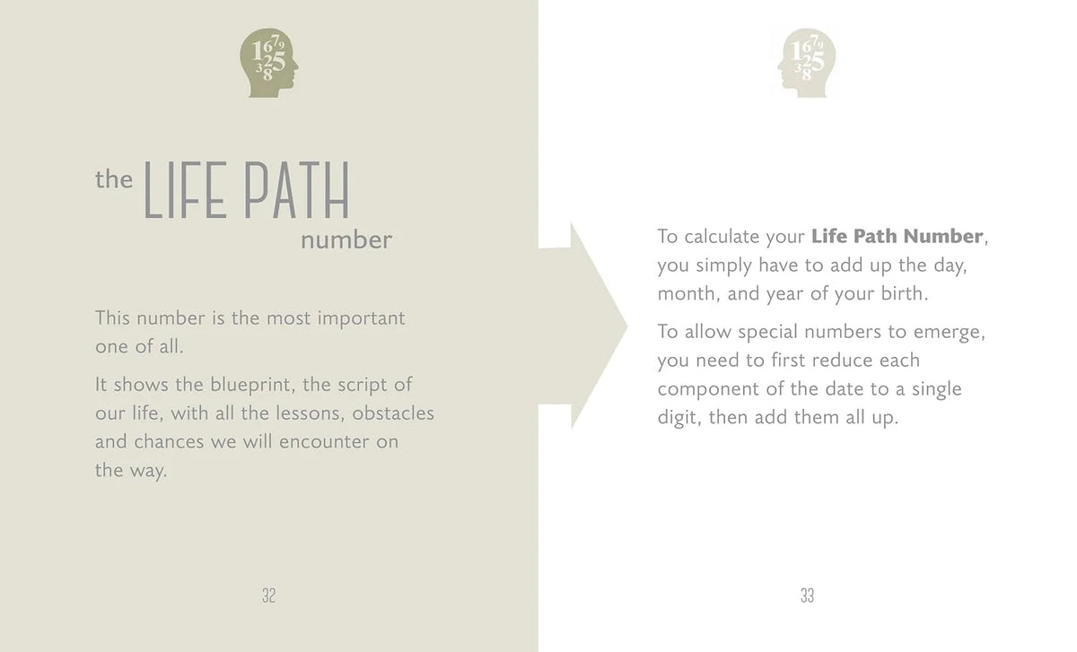  The Little Book of Numerology