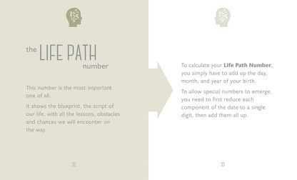  The Little Book of Numerology