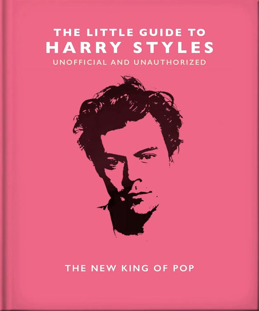 The Little Guide to Harry Style