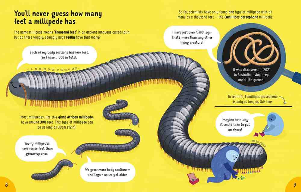 Usborne - Lots of Things to Know About Bugs