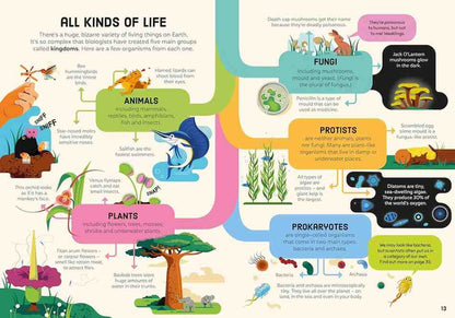 Usborne Biology for Beginners