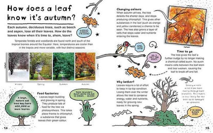 A full-page educational illustration titled 'How does a leaf know it's autumn?' with text, labeled diagrams, and cartoon-style drawings of leaves, trees, and a frog on a white page.