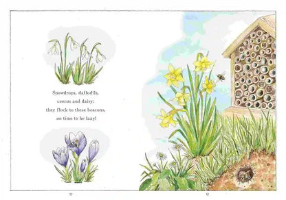It Starts with a Bee: Watch a tiny bee bring the world to bloom