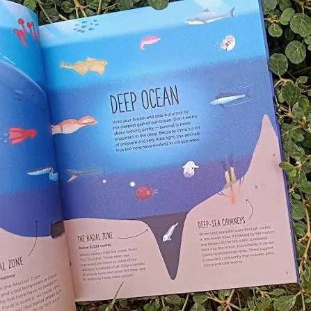 Deep Dive into Hidden Worlds