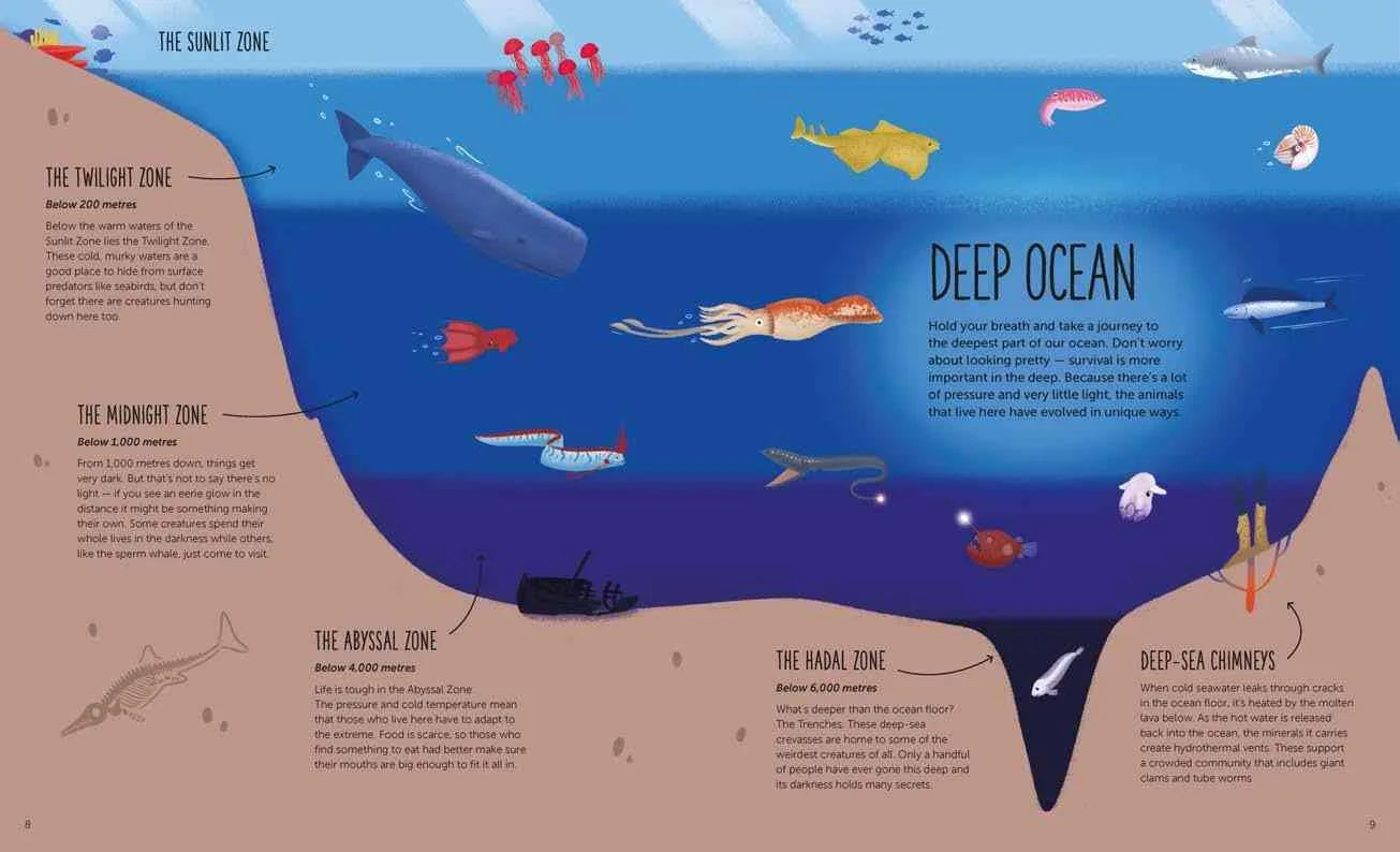 Deep Dive into Hidden Worlds