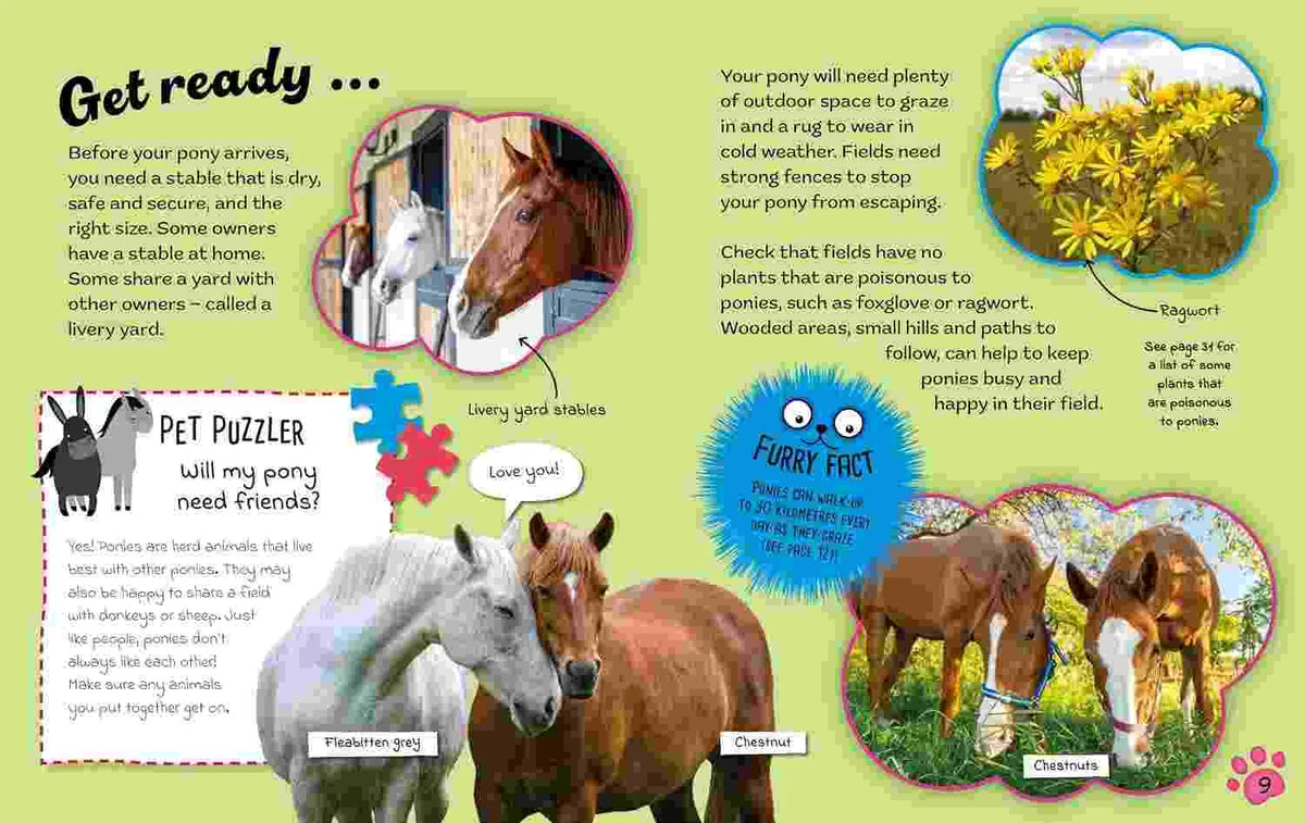 Ponies (Cute Pets! And How to Care For Them)