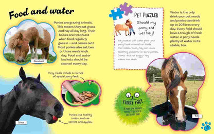 Ponies (Cute Pets! And How to Care For Them)